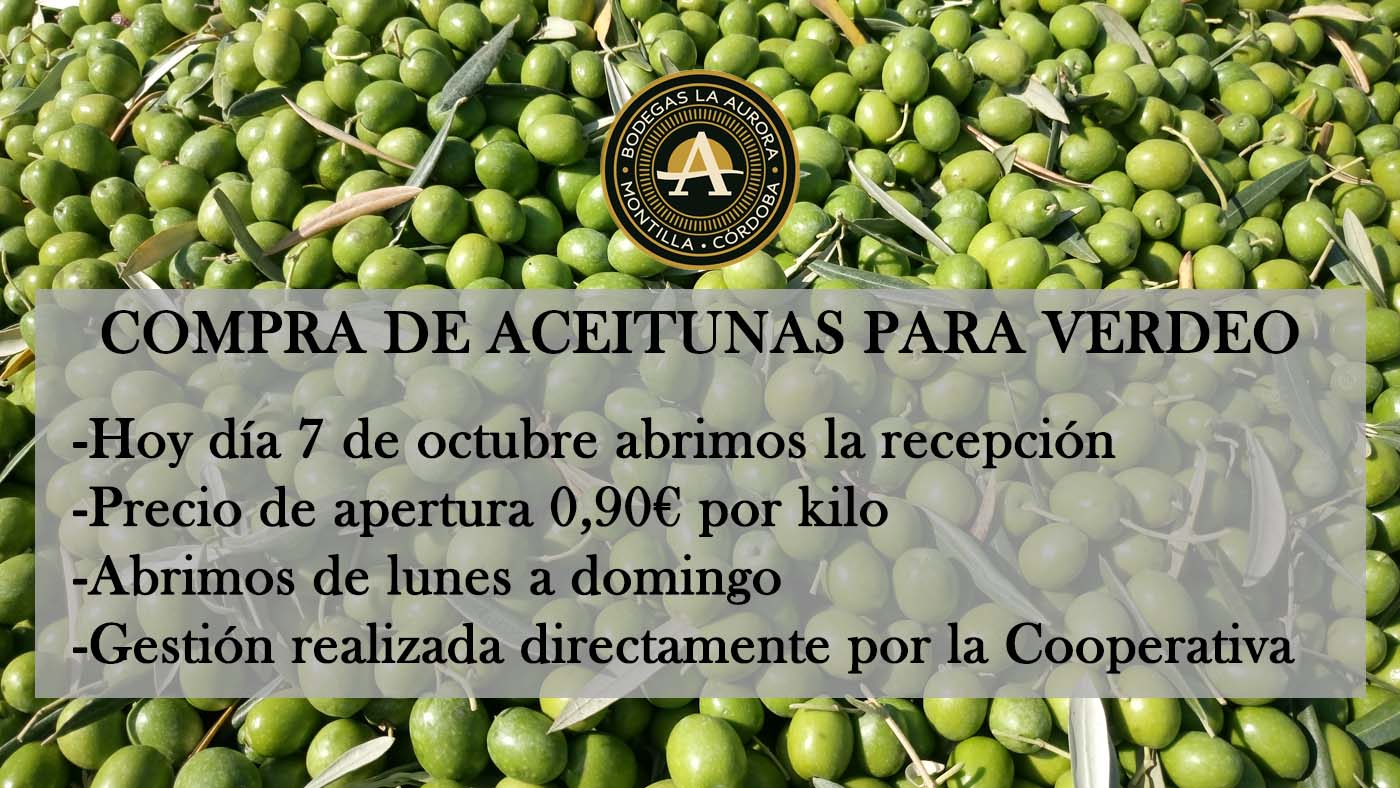 Abrimos la recepción de aceituna de verdeo 2025