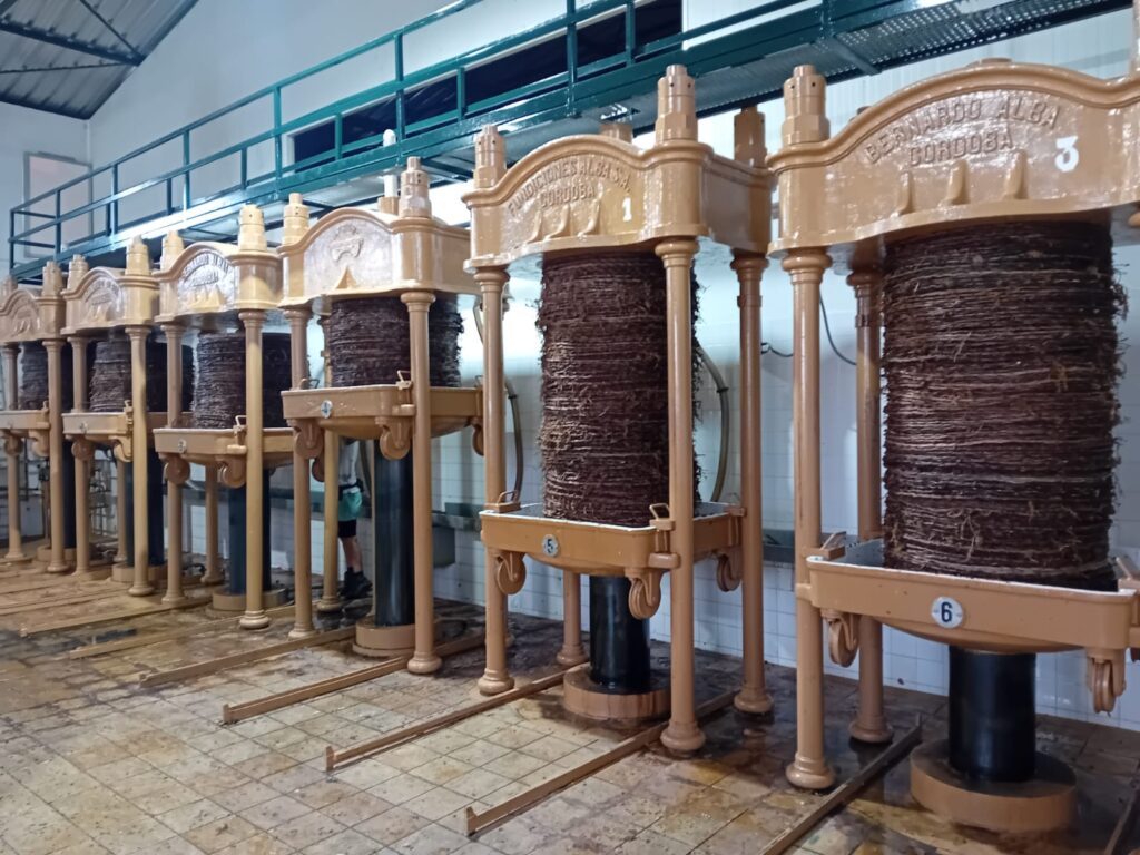 P.X. Amanecer elegido mejor vino de su categoría en VinEspaña 2026 2