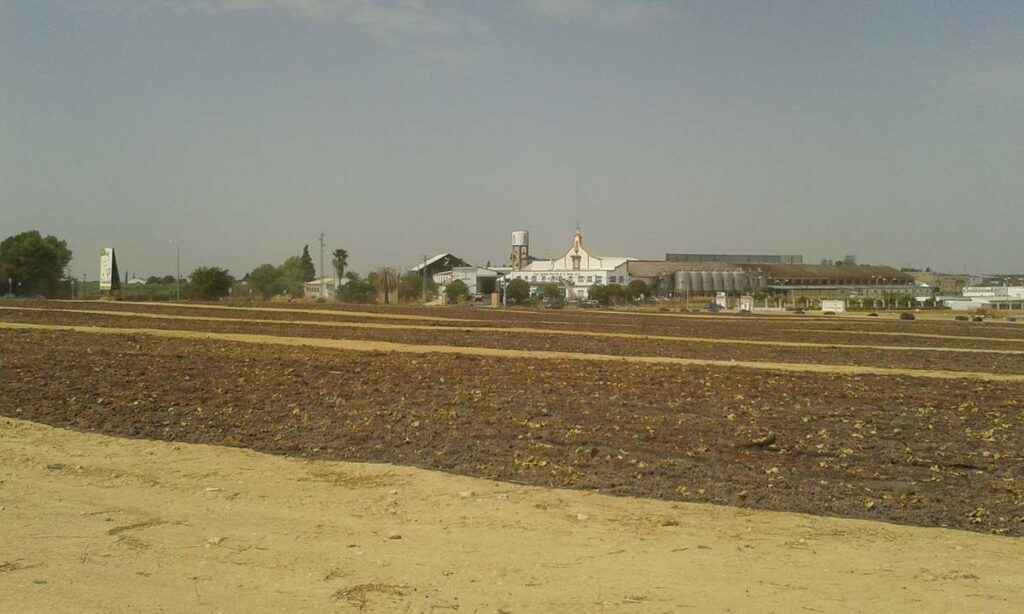 Los vinos de Bodegas La Aurora consiguen 2 Bacchus de Oro 3